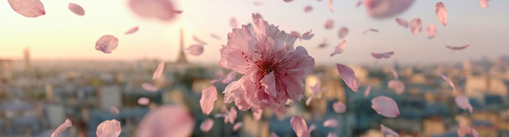 TAKASAGO — Bloom, Again